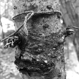 Meet your Posher, Jade